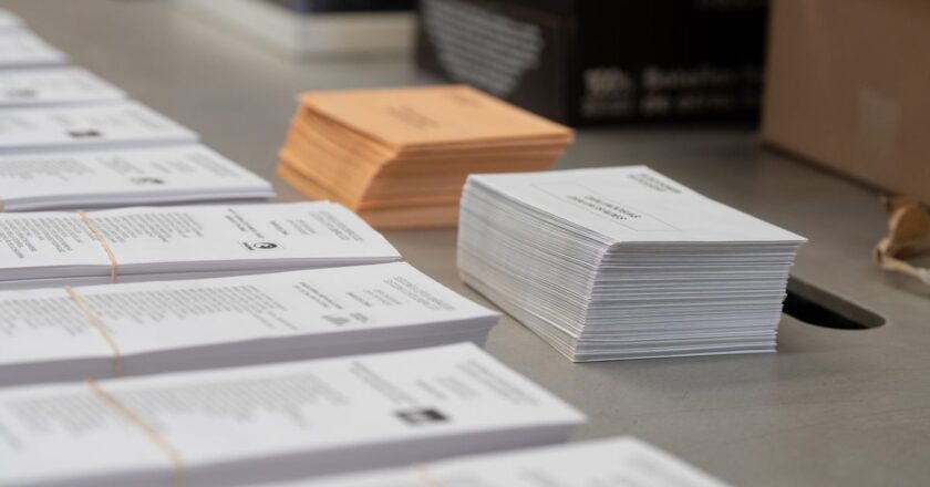 El Constitucional rechaza la petición del Defensor del Pueblo de reactivar el voto de 160.000 nacionalizados